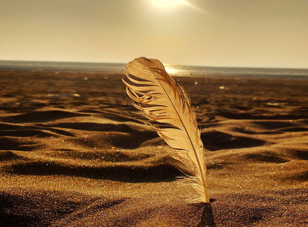 Estates and Testamentary Services